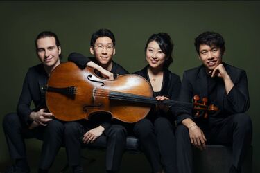 galvincelloquartetwid